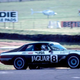 Image for article titled This One Jaguar Set In Motion An Incomprehensible Chain Of Events